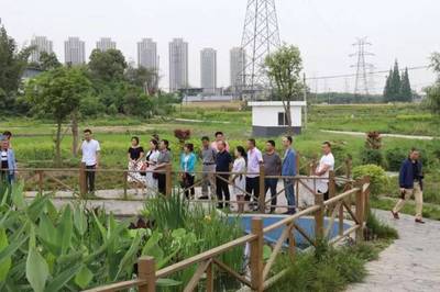 泰兴镇人大代表团开展《水污染防治法》专项视察，推进水污染治理工作