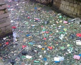 浙江环保成绩单 2014年水污染治理的实践与成效——从消灭6000里垃圾河看环保技术开发服务的推动