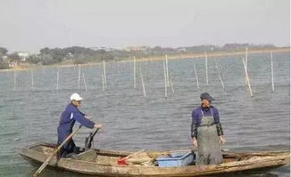 聚焦水韵江苏 环保技术驱动，多地水污染防治成效显著
