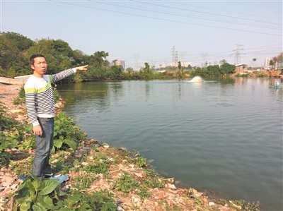 完善广佛跨界区域水污染治理 狮山以环保技术服务驱动产业转型 关闭养殖场121户