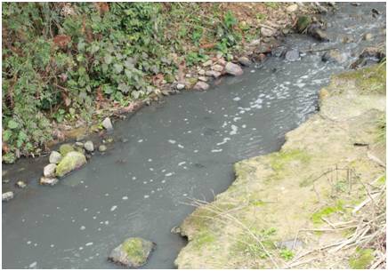 新规落地 养殖粪污排放标准与农田灌溉水质挂钩，水污染治理迈出关键一步