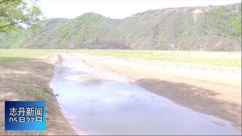 市人大调研组深入我县调研延河流域水污染防治工作 助力环保技术开发服务