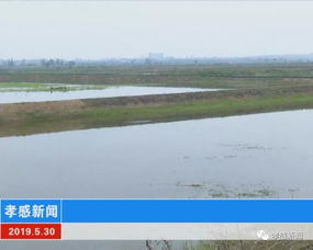 我市稳步推进水污染防治工作 综合治理见实效